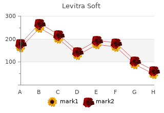 purchase 20 mg levitra soft overnight delivery